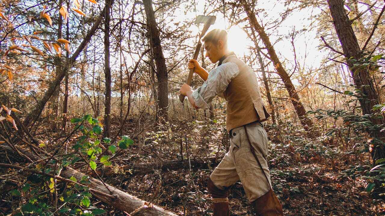 Tree Branch Trimming